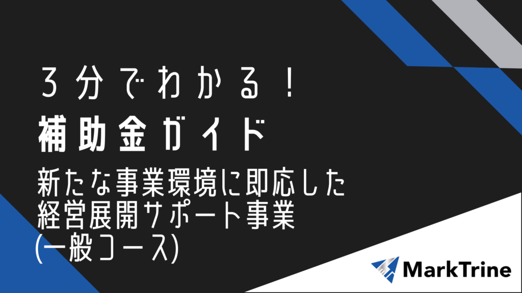 3分でわかる補助金ガイド 新たな事業環境に即応した経営展開サポート事業