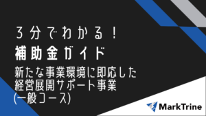 3分でわかる補助金ガイド 新たな事業環境に即応した経営展開サポート事業